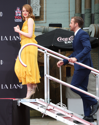 Emma Stone Poster 2748153