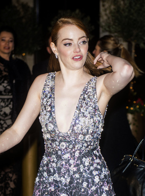 Emma Stone Poster 2748160