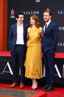 Emma Stone Poster 2748196