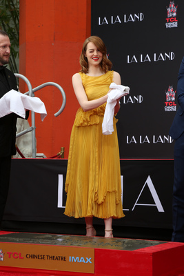 Emma Stone Poster 2748535