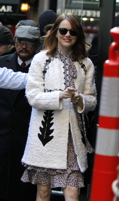 Emma Stone Poster 2748581