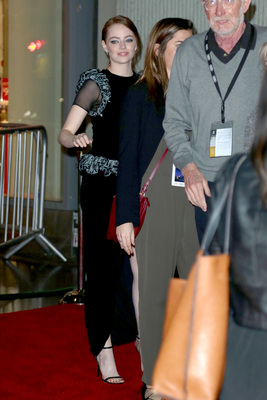 Emma Stone Poster 2749022