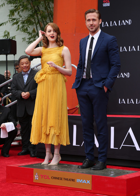 Emma Stone Poster 2749062