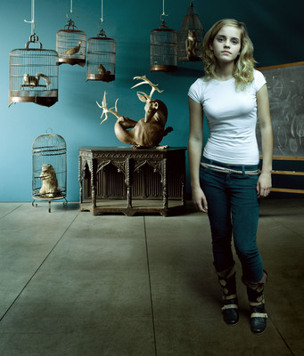 Emma Watson Poster 2058887