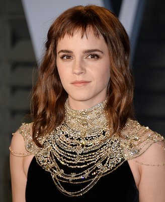 Emma Watson Poster 3116691