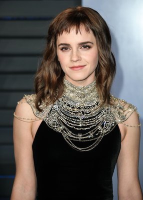 Emma Watson Poster 3167364