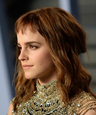 Emma Watson Poster 3167370