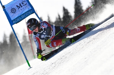 Erik Read Poster 3651266