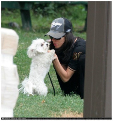 Eva Longoria Poster 1376274