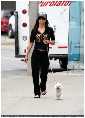 Eva Longoria Poster 1376277