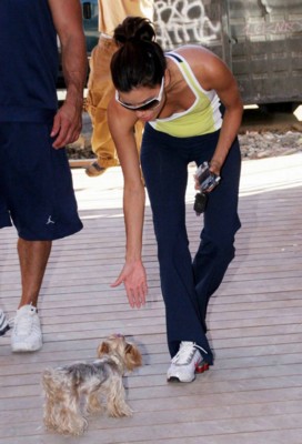 Eva Longoria Poster 1433315