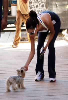 Eva Longoria Poster 1433317