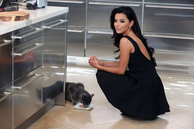 Eva Longoria Poster 2346749