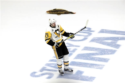 Evgeni Malkin Poster 3526945