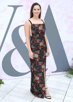 Felicity Jones Poster 3889734