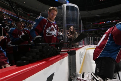 Gabriel Landeskog Poster 3552944