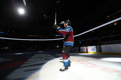 Gabriel Landeskog Poster 3552949