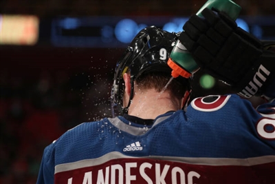 Gabriel Landeskog Poster 3552999