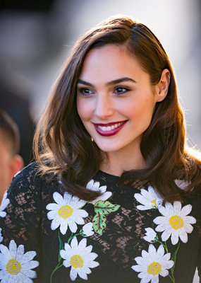 Gal Gadot Poster 2698499