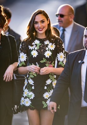 Gal Gadot Poster 2698543