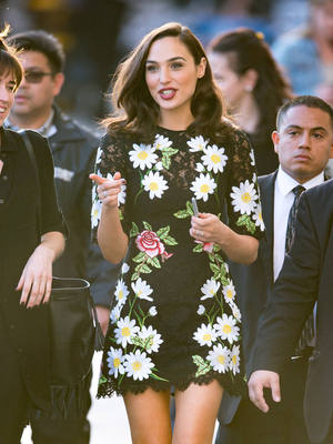 Gal Gadot Poster 2698593