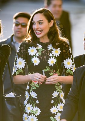 Gal Gadot Poster 2698631
