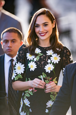 Gal Gadot Poster 2698649