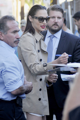 Gal Gadot Poster 2698676