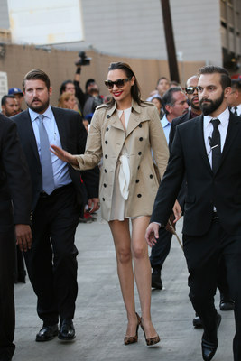 Gal Gadot Poster 2698751
