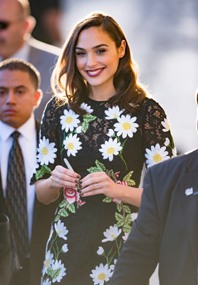 Gal Gadot Poster 2698752