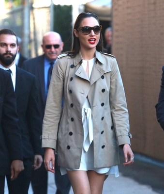Gal Gadot Poster 2698825
