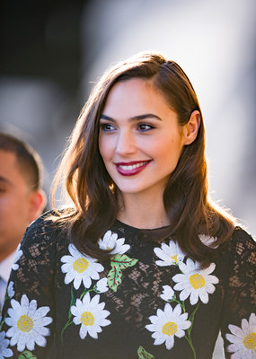 Gal Gadot Poster 2698856