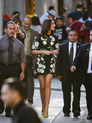 Gal Gadot Poster 2698955