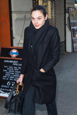 Gal Gadot Poster 2698988
