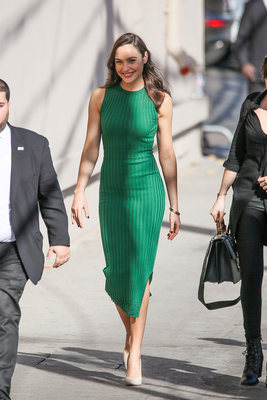 Gal Gadot Poster 2699031