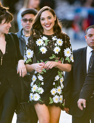 Gal Gadot Poster 2699042
