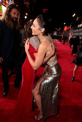 Gal Gadot Poster 2861424