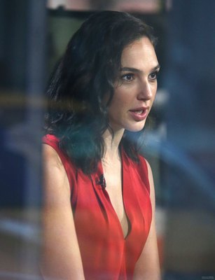 Gal Gadot Poster 2862413