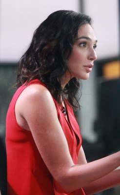 Gal Gadot Poster 2862423