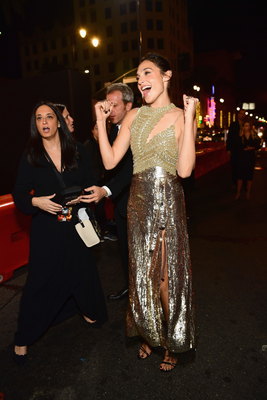 Gal Gadot Poster 2911204