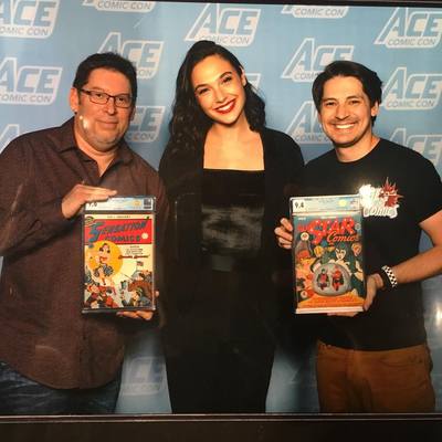 Gal Gadot Poster 2945466