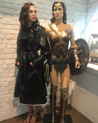 Gal Gadot Poster 3005354