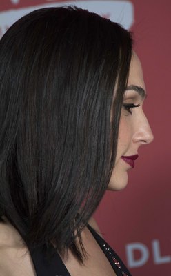 Gal Gadot Poster 3005444