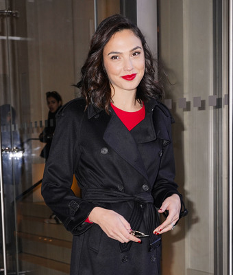Gal Gadot Poster 3071651