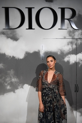 Gal Gadot Poster 3894210