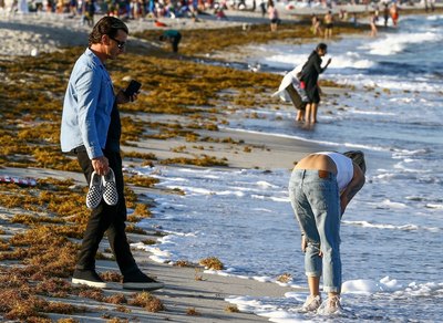 Gavin Rossdale Poster 3200941