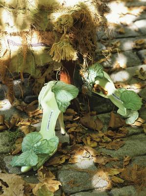 Gemma Ward Poster 2133430