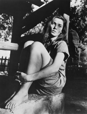 Gene Tierney Poster 2590504