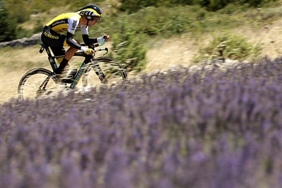 George Bennett Poster 3704509