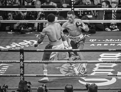 Gervonta Davis Poster 3587327